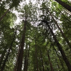 Meet your Posher, Mimi